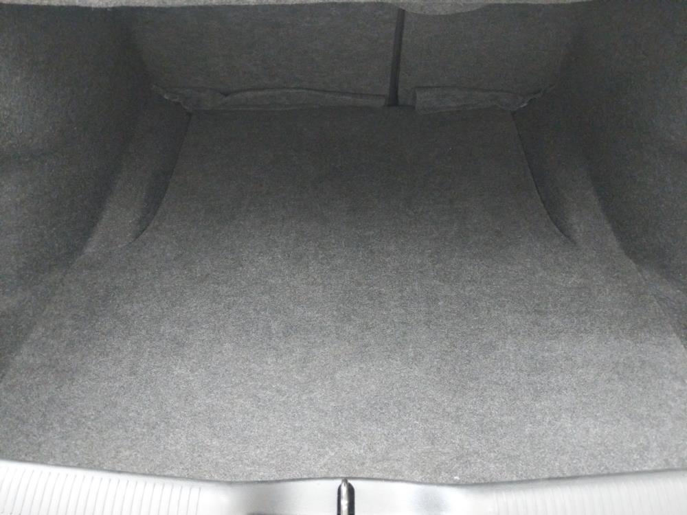 2017 Dodge Charger - Trunk