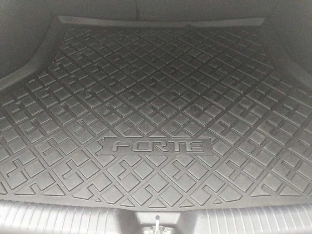 2015 Kia Forte - Trunk