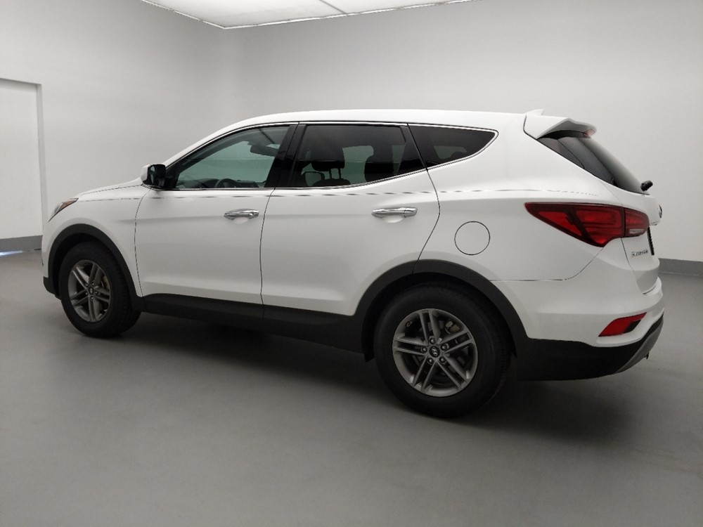 2017 Hyundai Santa Fe - Driver Rear Side