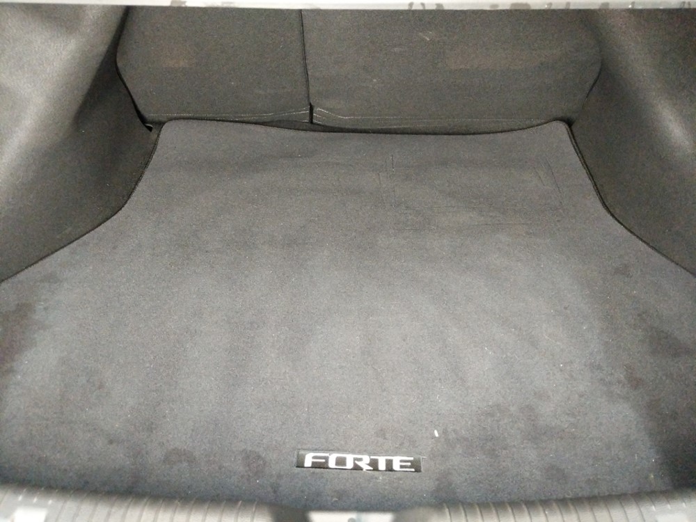 2015 Kia Forte - Trunk