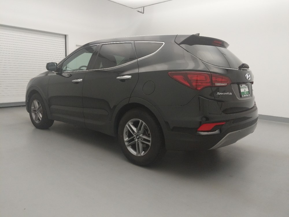 2017 Hyundai Santa Fe - Driver Rear Side