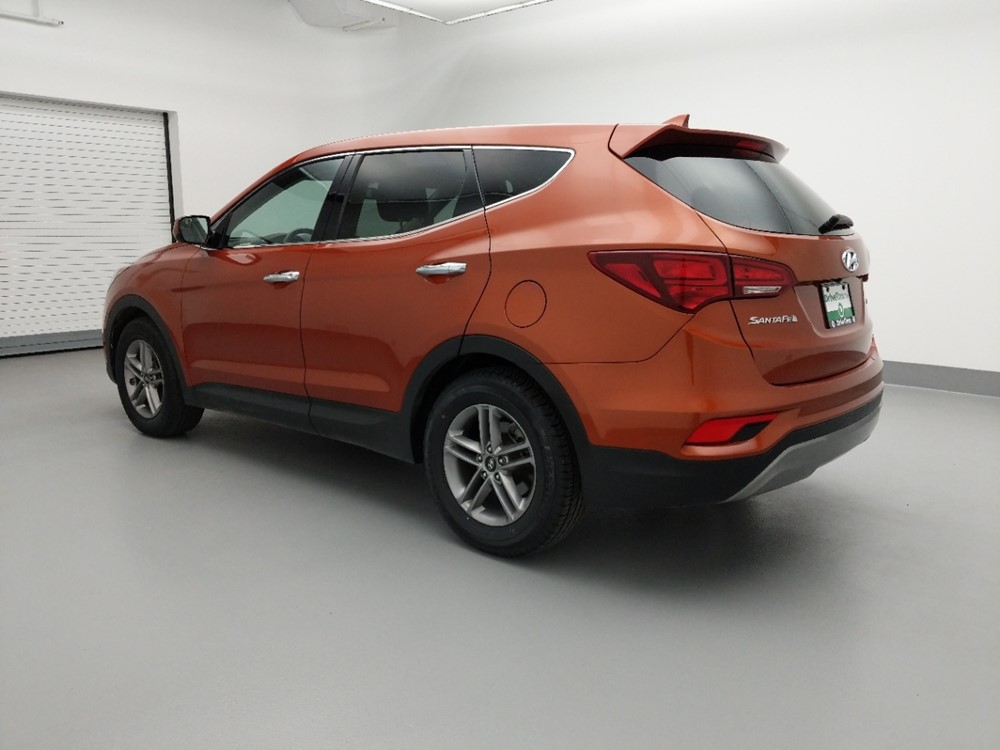 2017 Hyundai Santa Fe - Driver Rear Side