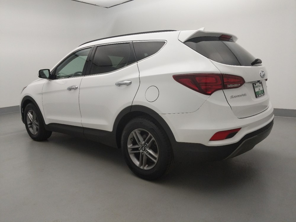 2017 Hyundai Santa Fe - Driver Rear Side