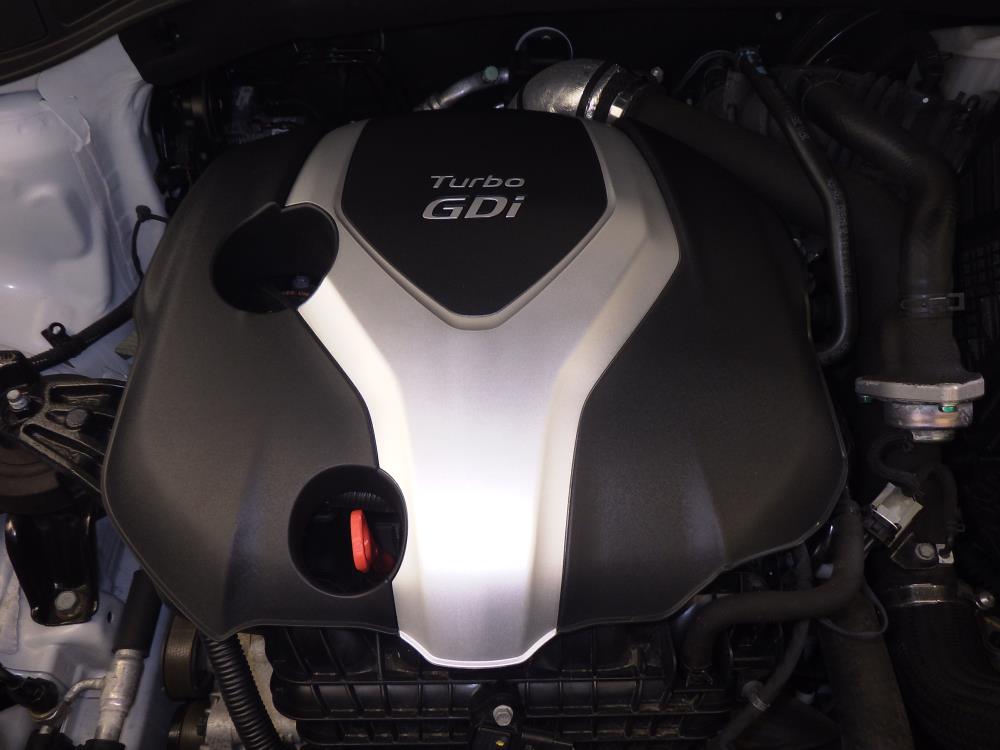 2014 Hyundai Santa Fe - Engine